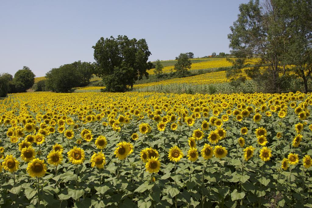 Manoir La Breuille Bed and Breakfast Montmoreau Εξωτερικό φωτογραφία